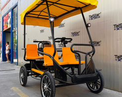 Електрическа рикша с педали Tourist-4 23Ah без регистрация снимка 253