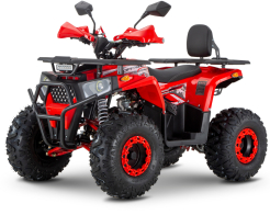 ATV TELSTAR ARMOUR LONG 150сс дълга база с 8'' гуми, автоматична скоростна кутия снимка 136